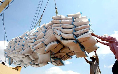 Áp lực giảm giá gạo ngày càng lớn