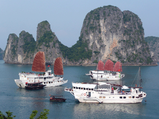 Kinh doanh du thuyền trên vịnh Hạ Long: “Mắc cạn” vì... hướng dẫn