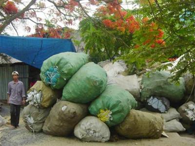 Ngoại thành Hà Nội cũng phát triển lộn xộn, hầu như đi đâu cũng thấy rác (Cảnh ở làng Triều Khúc) - tinkinhte.com