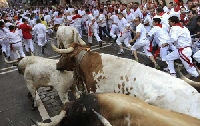 Hình ảnh: Thót tim với lễ hội “bò rượt” San Fermin ở Tây Ban Nha
