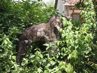 Tượng voi ở sau khu nhà dân. Đây được cho là tượng thuộc Phật viện Đồng Dương thuở trước. Ảnh: T.V