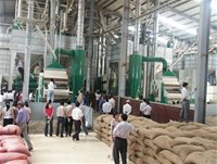Cà phê nhân xuất khẩu lại tiếp tục bị ép giá. Trong ảnh là nhà máy chế biến cà phê nhân của Công ty cổ phần An Giang - tinkinhte.com