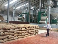 Một góc nhà máy chế biến cà phê của Công ty cổ phần cà phê An Giang. Ảnh: Hồng VănMột góc nhà máy chế biến cà phê của Công ty cổ phần cà phê An Giang. - tinkinhte.com