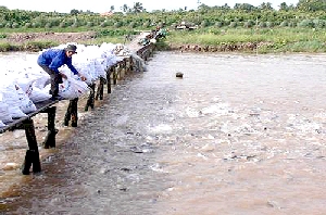 Trong khi chờ đàn cá bố mẹ từ viện Thủy sản 2 về, các tỉnh nằm trong dự án sẽ được cấp vốn để tiến hành xây dựng cơ sở vật chất, xây dựng trang trại - tinkinhte.com