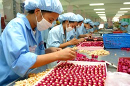 Việt Nam hiện có hơn 1,2 triệu người tham gia thị trường lao động mỗi năm - tinkinhte.com