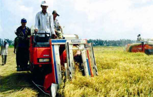 Những người nông dân đã cùng những người anh hùng xây dựng nên một “huyền thoại” - biến đất hoang hóa thành một vùng bờ xôi ruộng mật