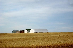 Một nông trại tại bang Saskatchewan, Canada. - tinkinhte.com