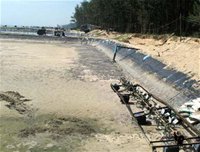Hàng trăn héc ta nuôi tôm trên cát tại miền Trung bị bỏ hoang chỉ sau một thời gian nuôi trồng vì thiếu hiệu quả. - tinkinhte.com