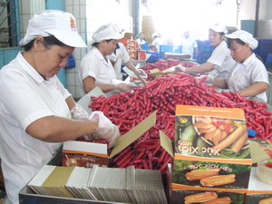 Sản xuất thực phẩm tại công ty Vissan, Thành phố Hồ Chí Minh. - tinkinhte.com
