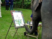 Đi Thái xem voi vẽ tranh