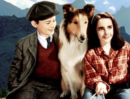 Năm 1947 trong phim 'Lassie Come Home'