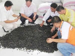 Mua bán đỉa khô ở Trung Quốc	Ảnh: Baidu.com