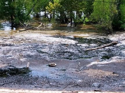 Cửa sông Mississipi đã bị coi là “vùng chết” vì phân động vật và những thứ độc hại khác thải ra từ các trang trại chăn nuôi