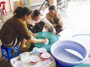 Một cơ sở tôm giống ở xã Long Toàn (Duyên Hải, Trà Vinh) không đủ tôm giống chất lượng để bán   Ảnh: Diệu Hiền