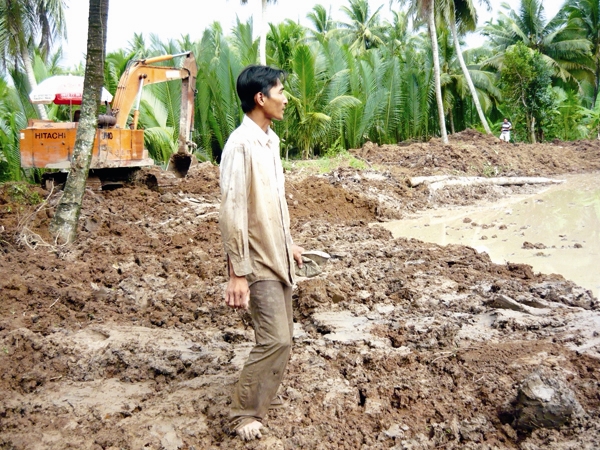 Anh Thái Ngọc Vũ cay đắng nhìn vườn dừa vừa phá bỏ để chuyển sang trồng lác