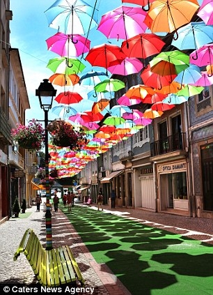 Bóng của chiếc ô dưới ánh nắng chiếu xuống đường phố tạo nên một vẻ đẹp mới