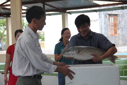 Trương Văn Trị đang hướng dẫn nông dân nuôi cá. Ảnh: Dân Việt